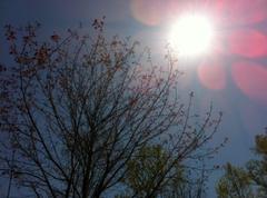 National Weather Service Warns of High Temps, Thunderstorms for San Gabriel Mountains Area